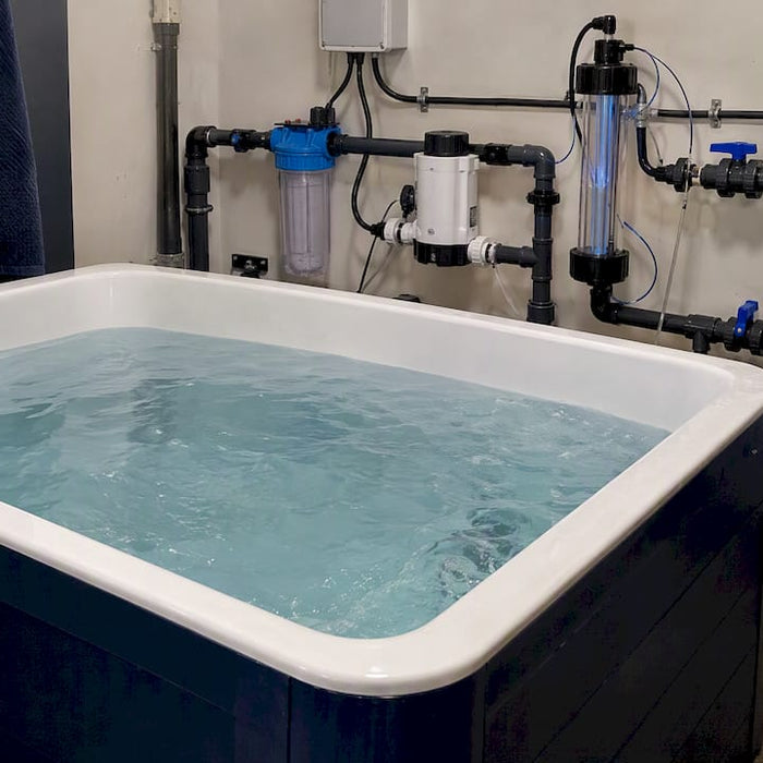 Cold plunge tub beside ozone and chlorine equipment