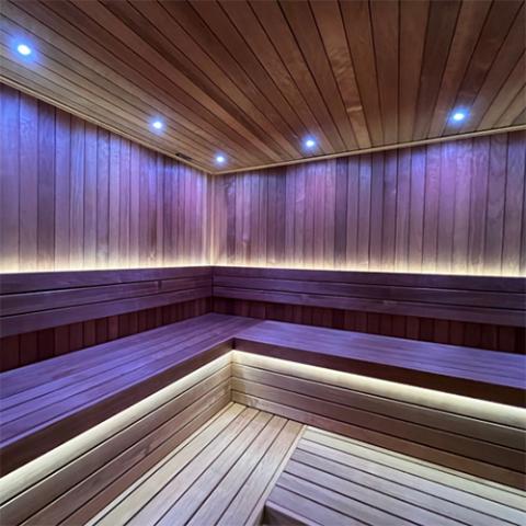 ProSaunas Universal Sauna Light Kit with Two 10-Ft Flexible LED Strips