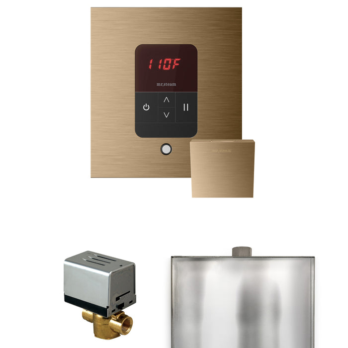Basic Butler Steam Shower Control Package with Square iTempo Control and Steamhead