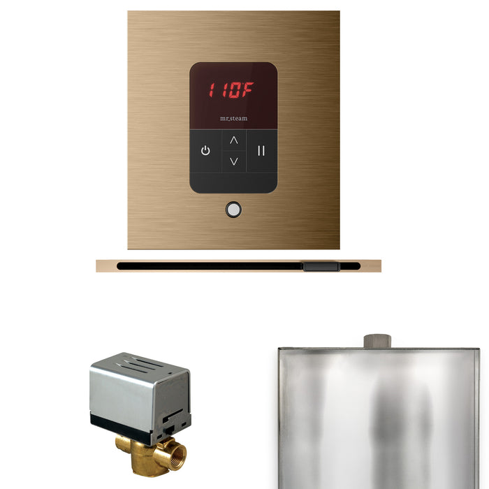 Basic Butler Steam Shower Control Package with Square iTempo Control and Linear Steamhead