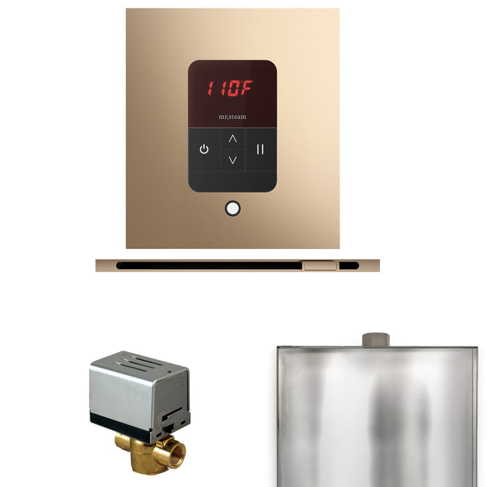 Basic Butler Steam Shower Control Package with Square iTempo Control and Linear Steamhead