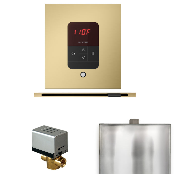 Basic Butler Steam Shower Control Package with Square iTempo Control and Linear Steamhead