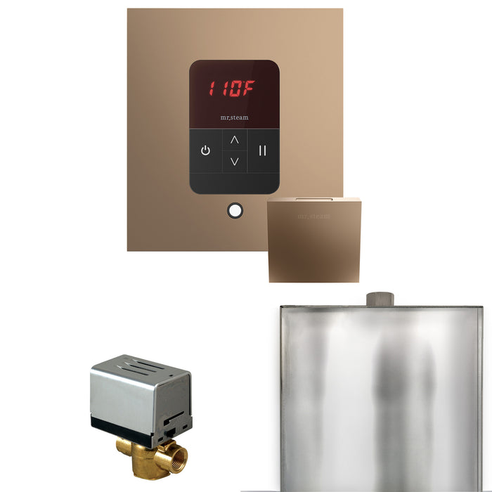 Basic Butler Steam Shower Control Package with Square iTempo Control and Steamhead