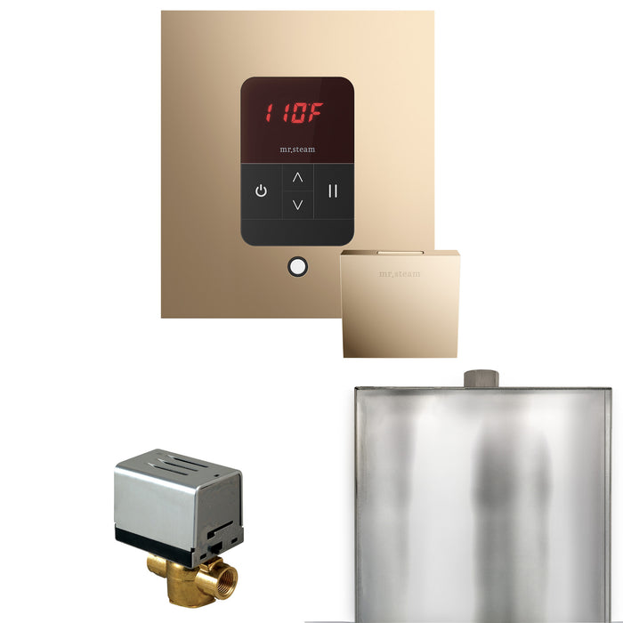 Basic Butler Steam Shower Control Package with Square iTempo Control and Steamhead