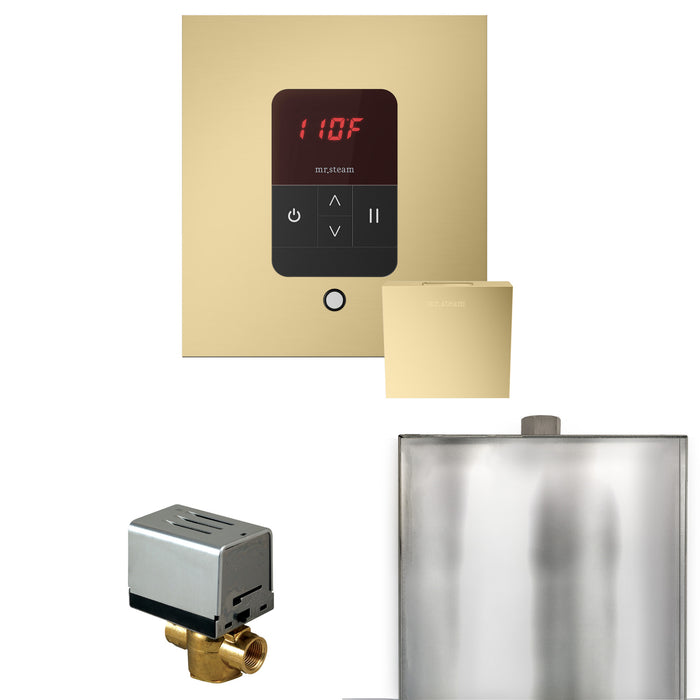 Basic Butler Steam Shower Control Package with Square iTempo Control and Steamhead