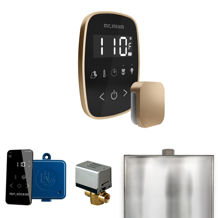 ButlerFlex Steam Shower Control Package with TempoFlex Control and Steamhead