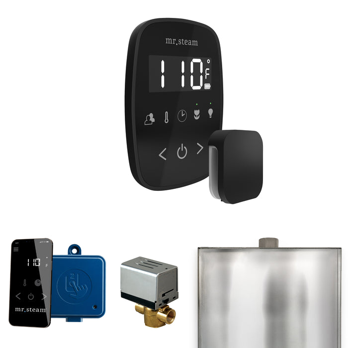 ButlerFlex Steam Shower Control Package with TempoFlex Control and Steamhead