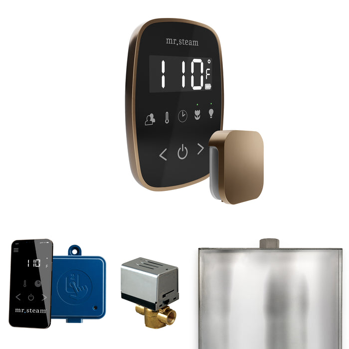 ButlerFlex Steam Shower Control Package with TempoFlex Control and Steamhead