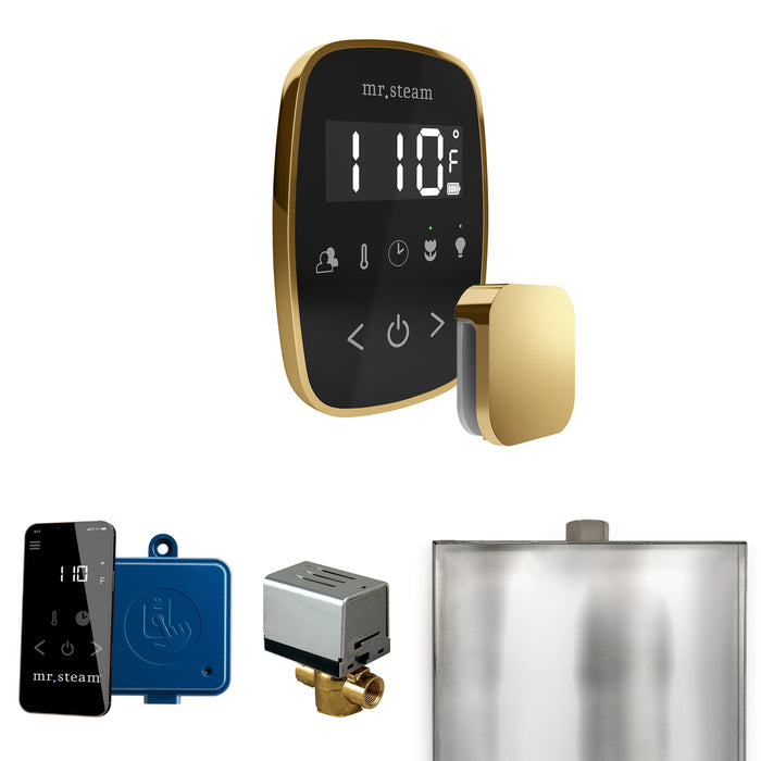 ButlerFlex Steam Shower Control Package with TempoFlex Control and Steamhead