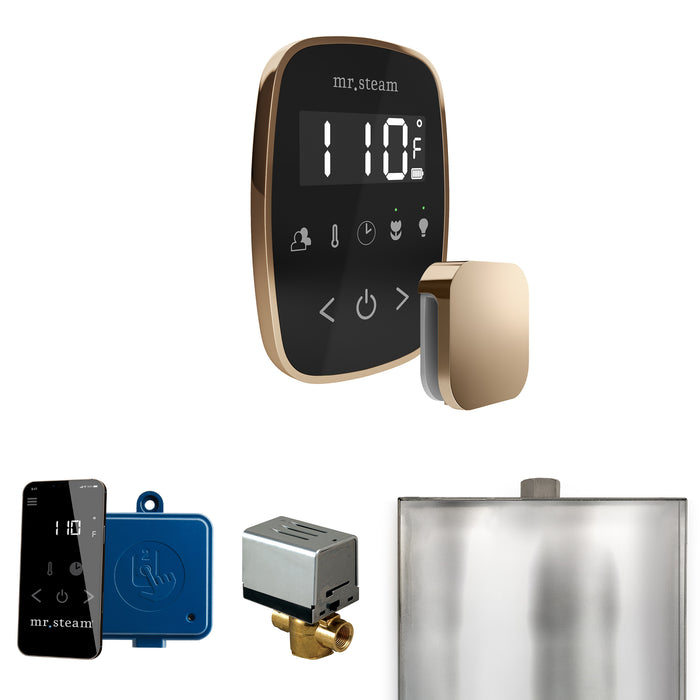 ButlerFlex Steam Shower Control Package with TempoFlex Control and Steamhead