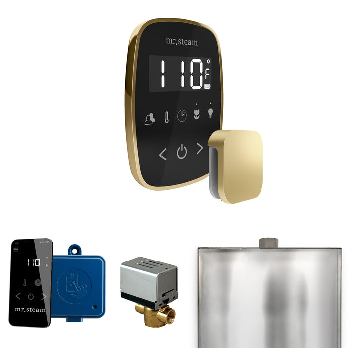 ButlerFlex Steam Shower Control Package with TempoFlex Control and Steamhead