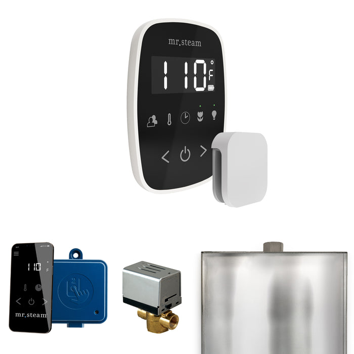 ButlerFlex Steam Shower Control Package with TempoFlex Control and Steamhead