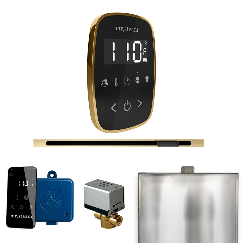 ButlerFlex Steam Shower Control Package with TempoFlex Control and Linear Steamhead