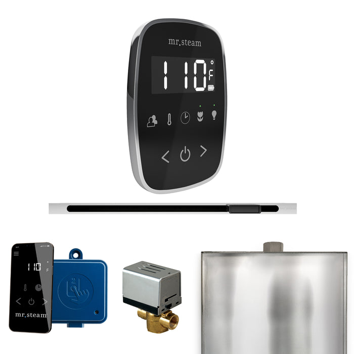 ButlerFlex Steam Shower Control Package with TempoFlex Control and Linear Steamhead