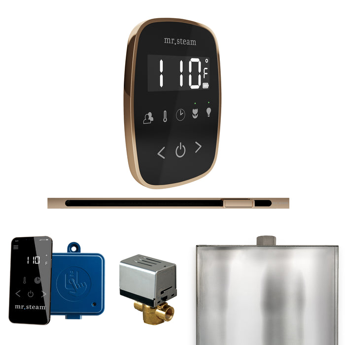 ButlerFlex Steam Shower Control Package with TempoFlex Control and Linear Steamhead