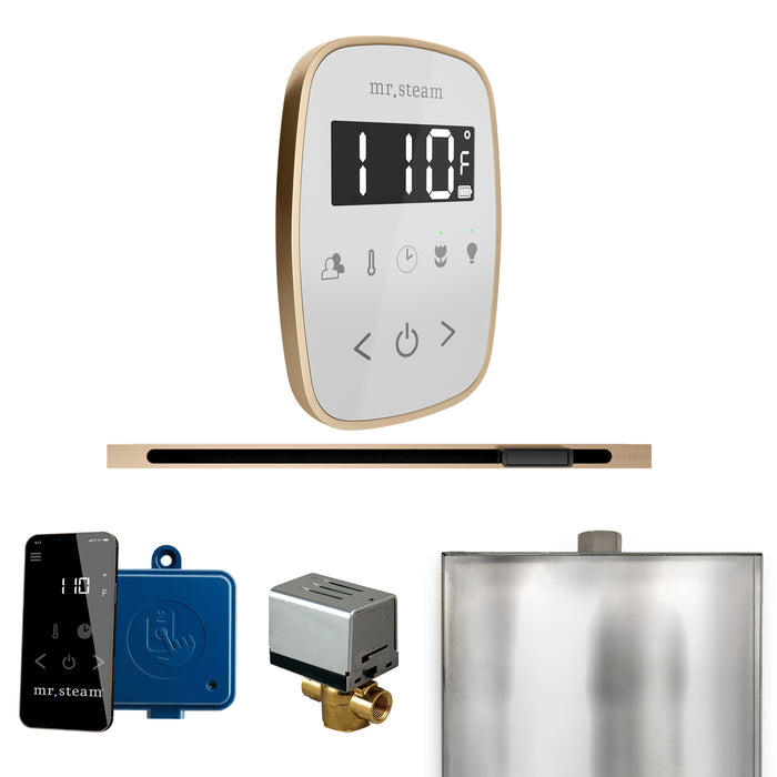 ButlerFlex Steam Shower Control Package with TempoFlex Control and Linear Steamhead