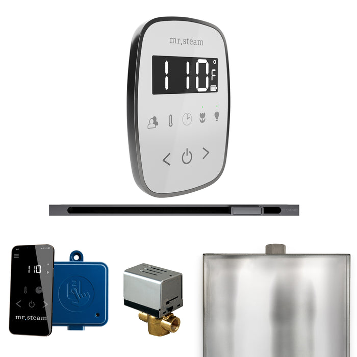 ButlerFlex Steam Shower Control Package with TempoFlex Control and Linear Steamhead