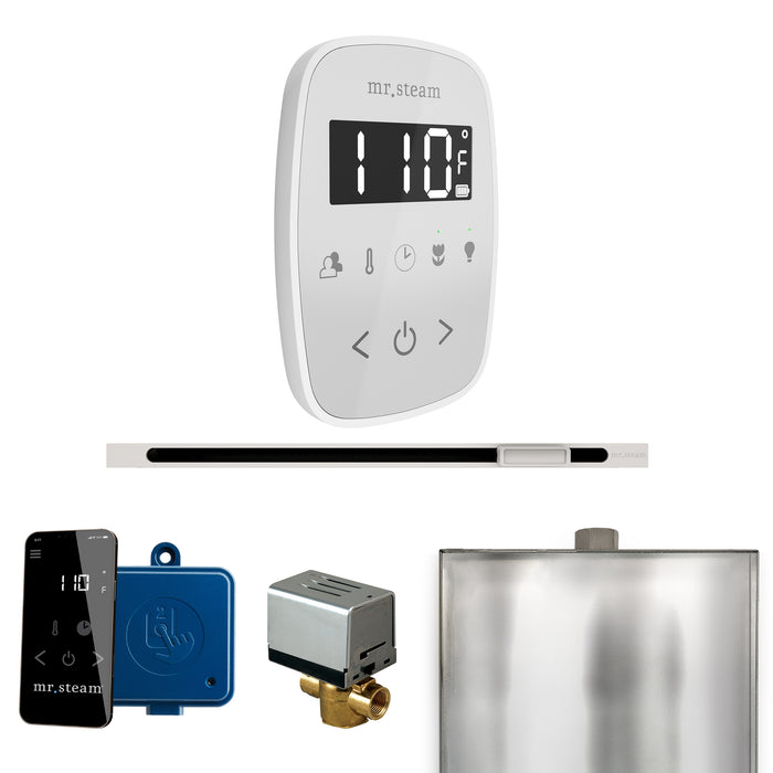ButlerFlex Steam Shower Control Package with TempoFlex Control and Linear Steamhead
