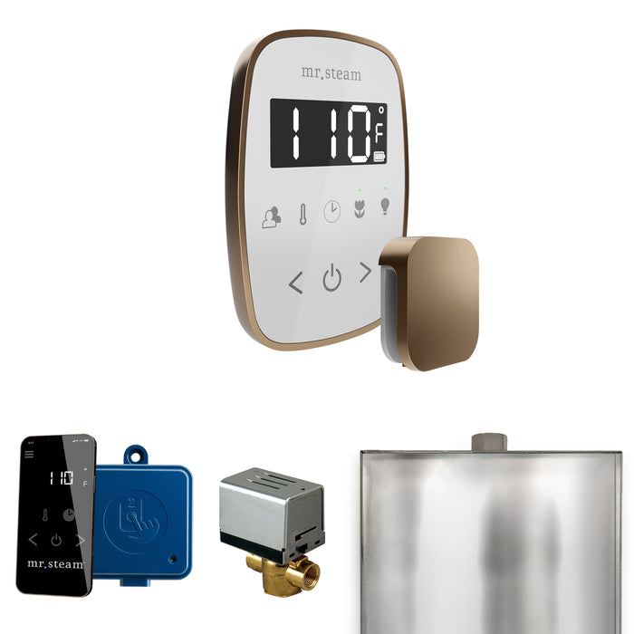 ButlerFlex Steam Shower Control Package with TempoFlex Control and Steamhead