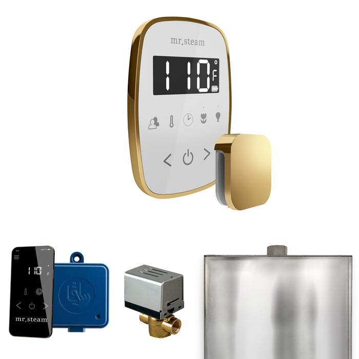 ButlerFlex Steam Shower Control Package with TempoFlex Control and Steamhead