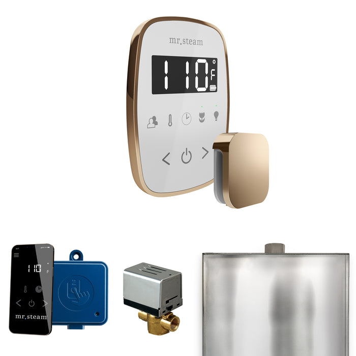 ButlerFlex Steam Shower Control Package with TempoFlex Control and Steamhead