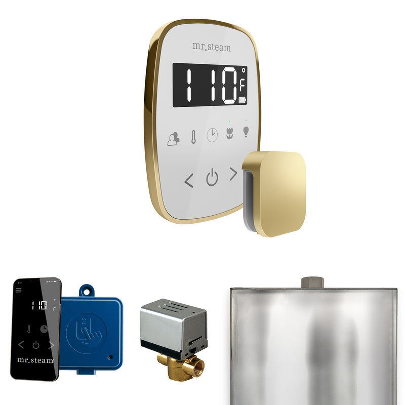 ButlerFlex Steam Shower Control Package with TempoFlex Control and Steamhead