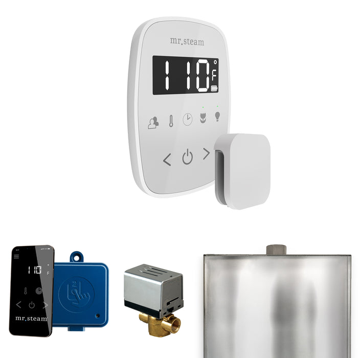 ButlerFlex Steam Shower Control Package with TempoFlex Control and Steamhead