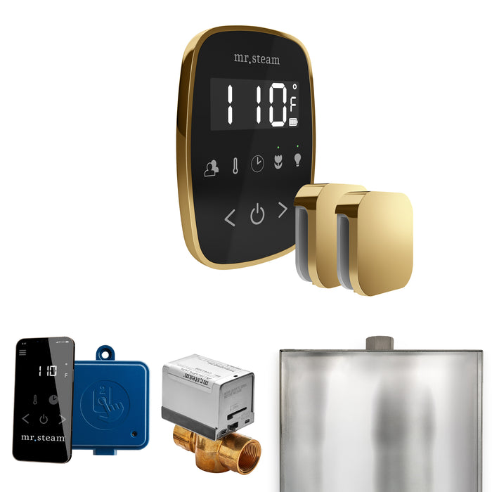 ButlerFlex Max Steam Shower Control Package with TempoFlex Control and Steamhead