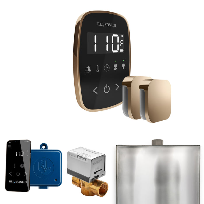ButlerFlex Max Steam Shower Control Package with TempoFlex Control and Steamhead