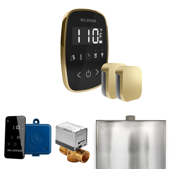 ButlerFlex Max Steam Shower Control Package with TempoFlex Control and Steamhead
