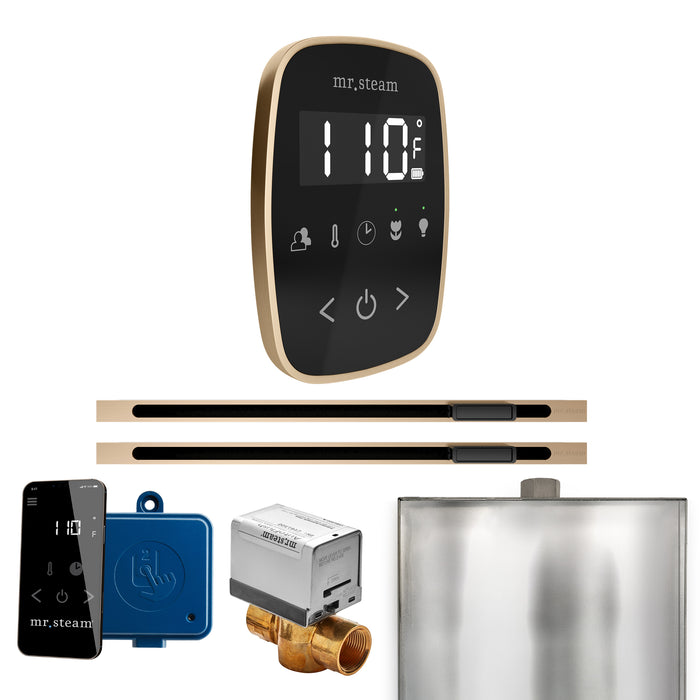 ButlerFlex Max Steam Shower Control Package with TempoFlex Control and Linear Steamhead