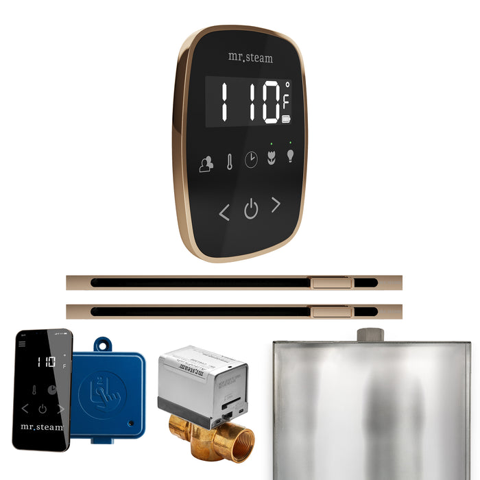 ButlerFlex Max Steam Shower Control Package with TempoFlex Control and Linear Steamhead