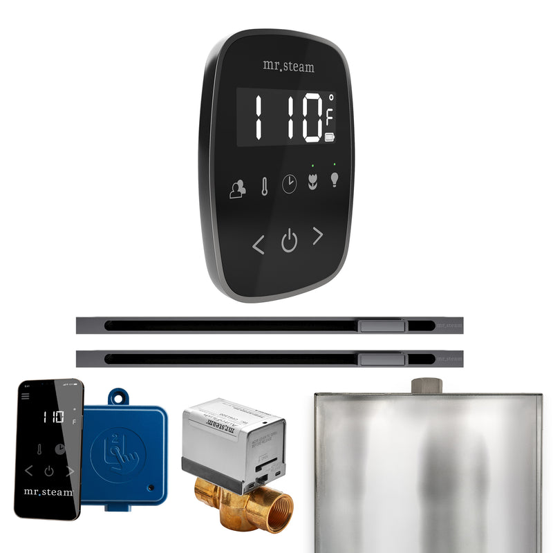 ButlerFlex Max Steam Shower Control Package with TempoFlex Control and Linear Steamhead