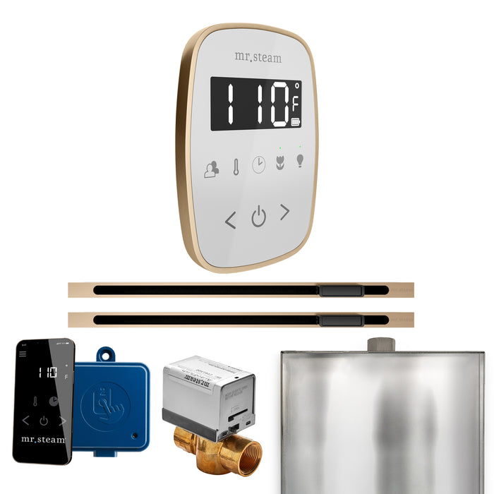 ButlerFlex Max Steam Shower Control Package with TempoFlex Control and Linear Steamhead