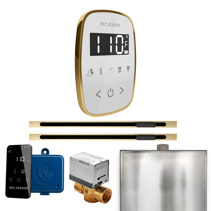 ButlerFlex Max Steam Shower Control Package with TempoFlex Control and Linear Steamhead