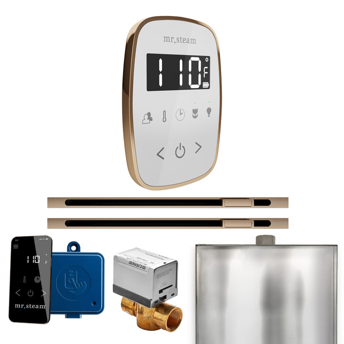 ButlerFlex Max Steam Shower Control Package with TempoFlex Control and Linear Steamhead