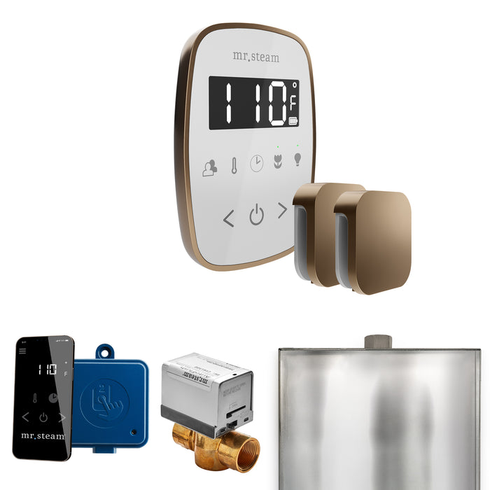 ButlerFlex Max Steam Shower Control Package with TempoFlex Control and Steamhead