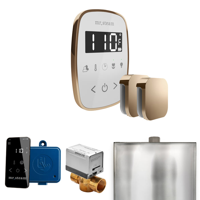 ButlerFlex Max Steam Shower Control Package with TempoFlex Control and Steamhead