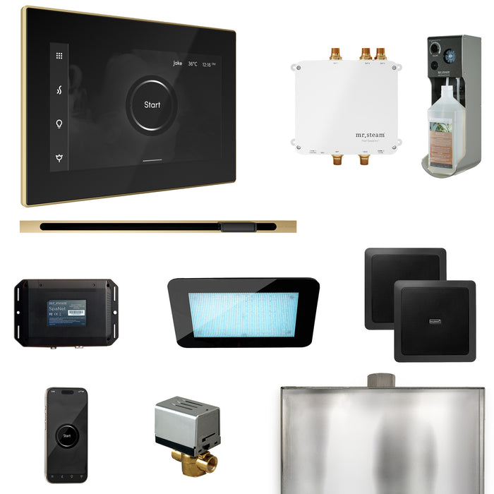 Bliss Steam Shower Control Package with iSteamX Control and Linear Steamhead