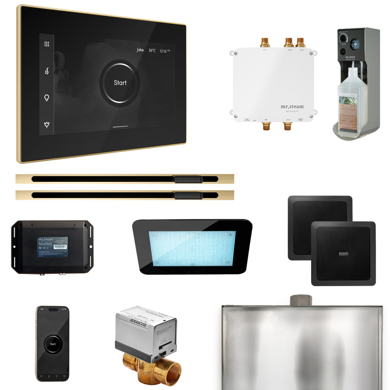 Bliss Max Steam Shower Control Package with iSteamX Control and Linear Steamhead
