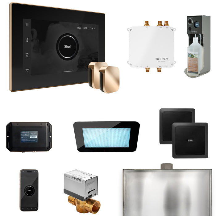 Bliss Max Steam Shower Control Package with iSteamX Control and Steamhead