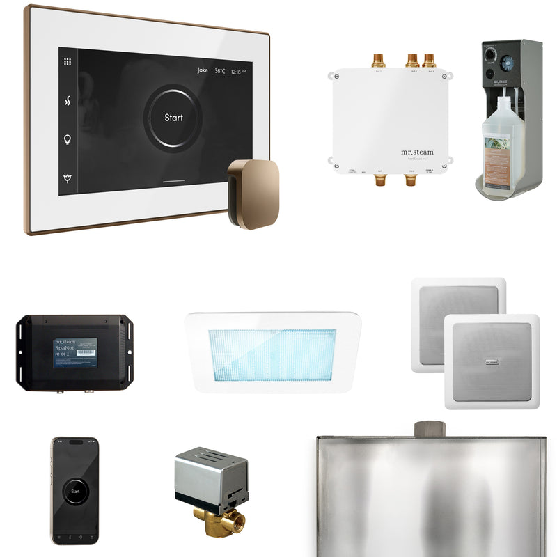 Bliss Steam Shower Control Package with iSteamX Control and Steamhead