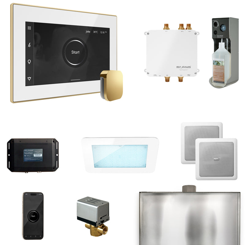 Bliss Steam Shower Control Package with iSteamX Control and Steamhead