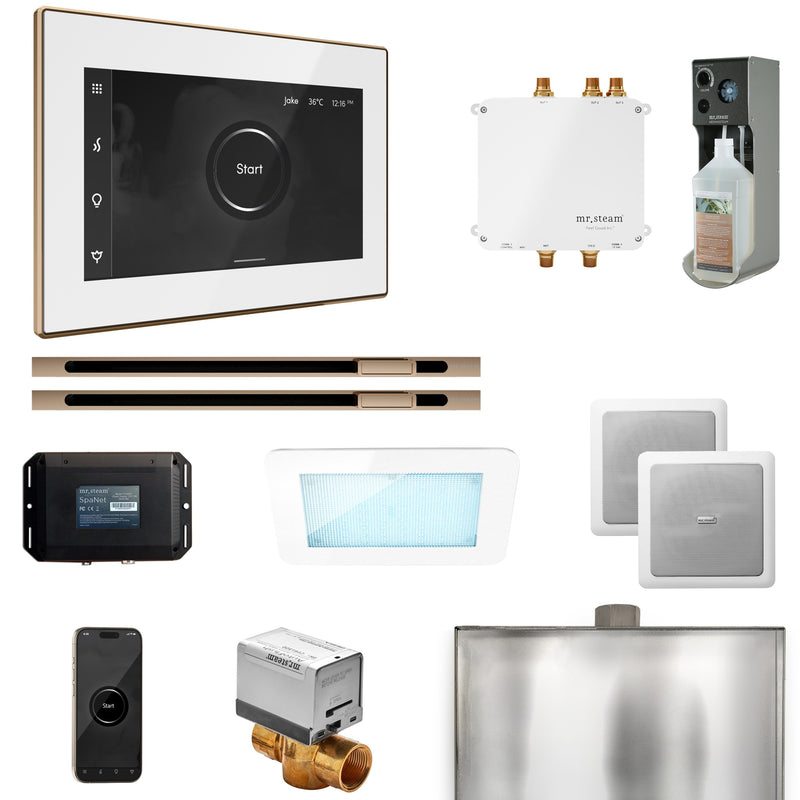 Bliss Max Steam Shower Control Package with iSteamX Control and Linear Steamhead