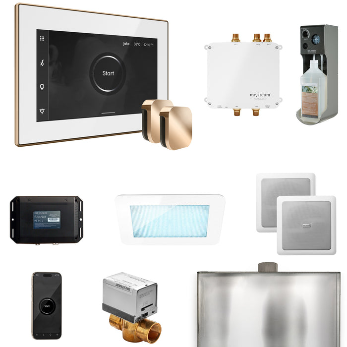 Bliss Max Steam Shower Control Package with iSteamX Control and Steamhead