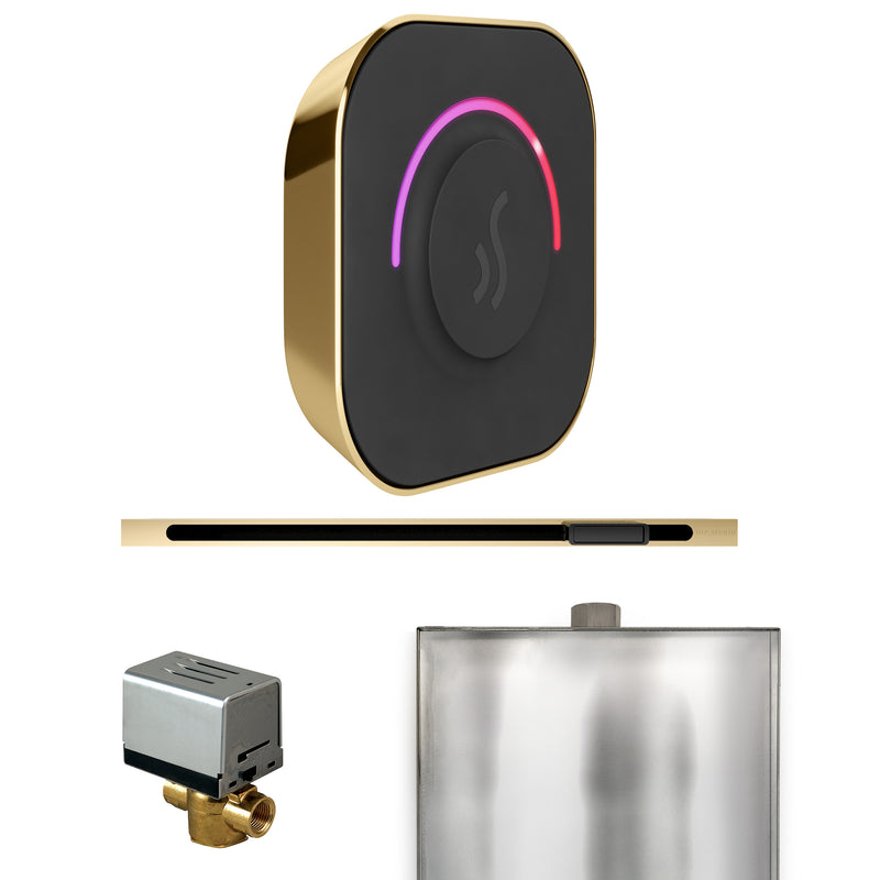 ButlerTouch Steam Shower Control Package with TempoTouch Control and Linear Steamhead