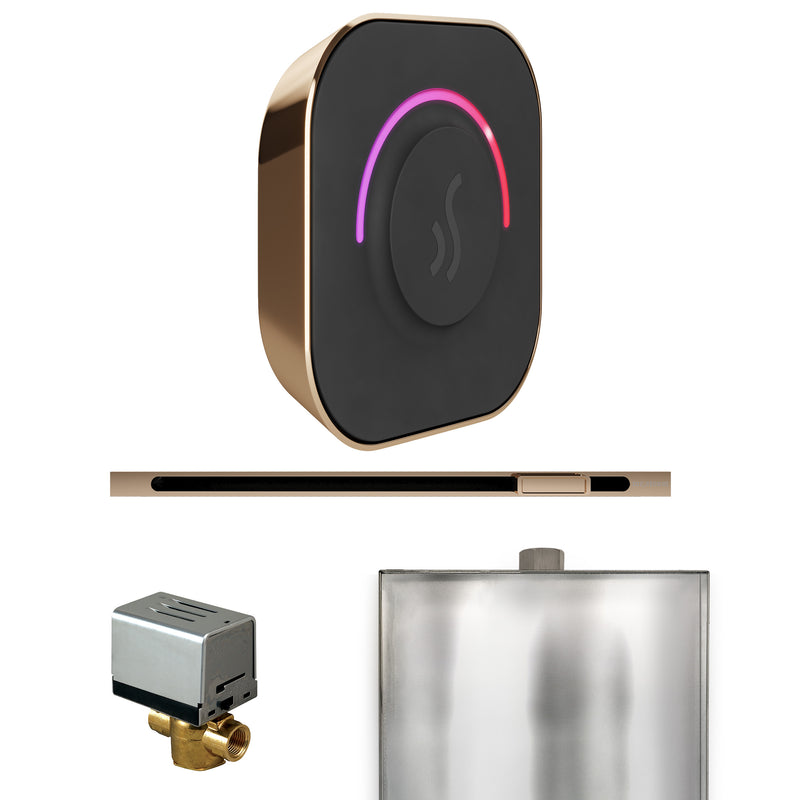 ButlerTouch Steam Shower Control Package with TempoTouch Control and Linear Steamhead