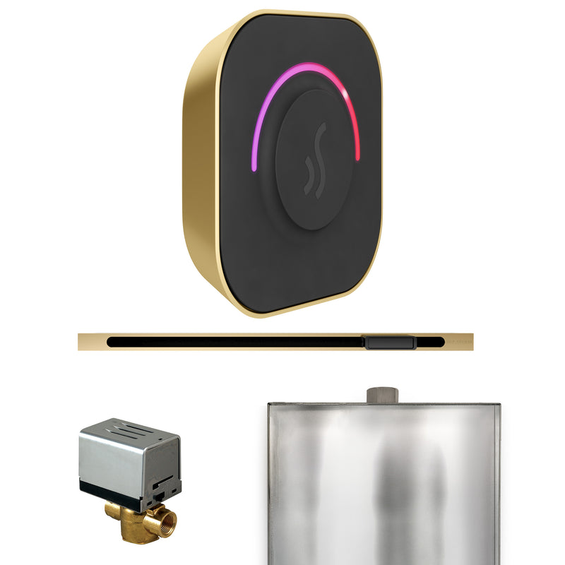 ButlerTouch Steam Shower Control Package with TempoTouch Control and Linear Steamhead