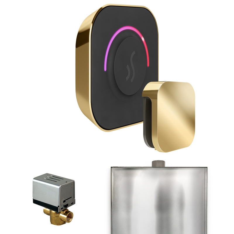 ButlerTouch Steam Shower Control Package with TempoTouch Control and Steamhead