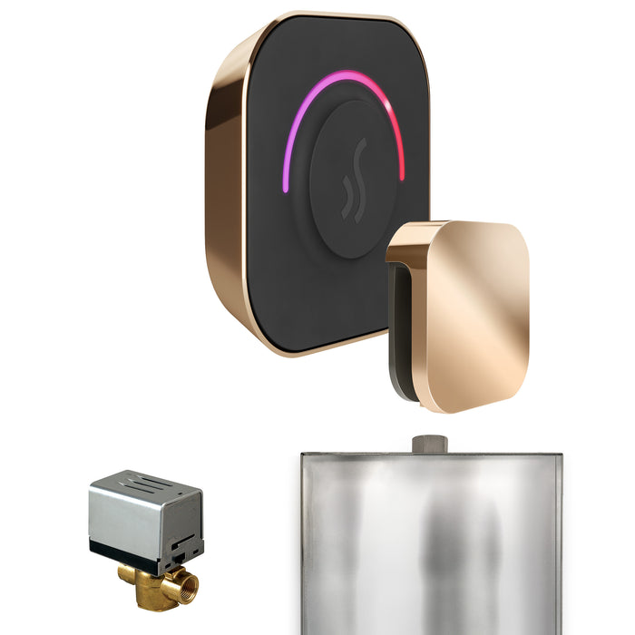 ButlerTouch Steam Shower Control Package with TempoTouch Control and Steamhead